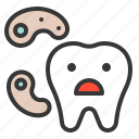 bacteria, dental, dental care, dentist, dentistry, health, tooth 