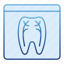 dental, dentist, tooth, xray, care, medicine, mouth, clinic, doctor