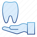 tooth, dentist, hand, care, dental, clean, health, human, medical