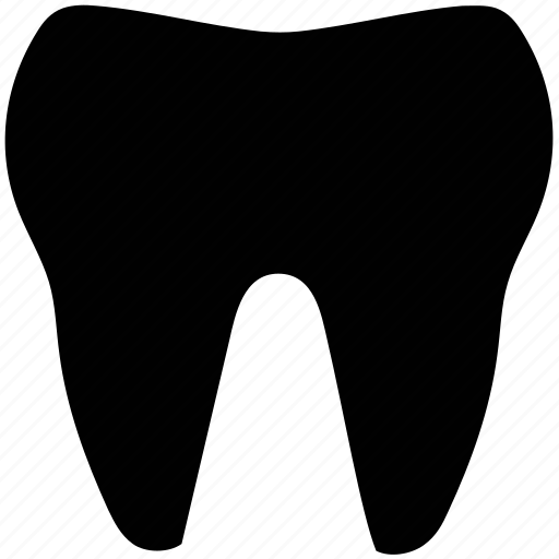 Human tooth, molar, molar tooth, tooth icon - Download on Iconfinder