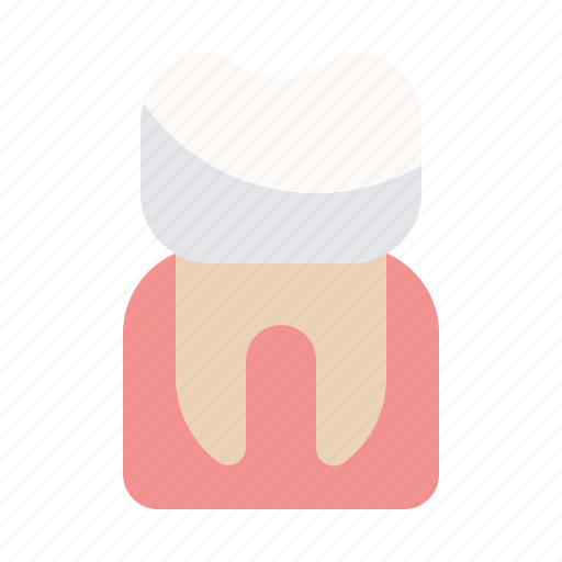 Dental, dentist, tooth, molar icon - Download on Iconfinder
