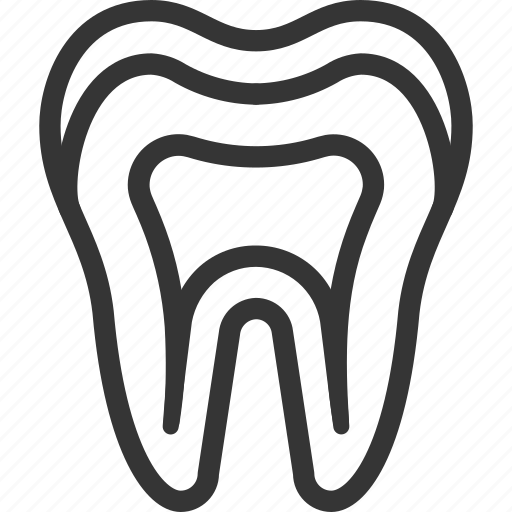Tooth, teeth, dentist, dentistry, dentin, cementum, pulp tissue icon - Download on Iconfinder