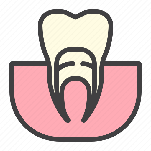 Gums, tooth, dental, anatomy icon - Download on Iconfinder