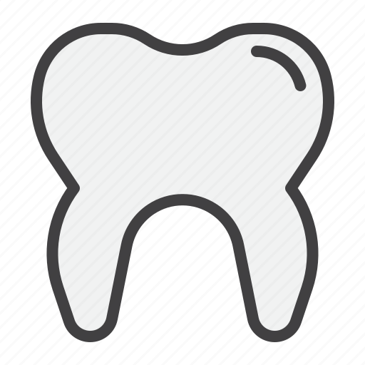 Human, tooth, dental, health icon - Download on Iconfinder