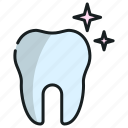 tooth, dental, dentistry, dentist