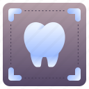 x, ray, rays, tooth, teeth, dentist, dental
