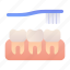 teeth, brushing, toothbrush, oral, care 