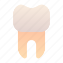 tooth, teeth, dental, dentist
