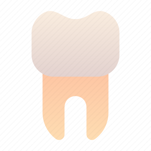 Tooth, teeth, dental, dentist icon - Download on Iconfinder
