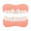 tooth, teeth, dentist, dental 