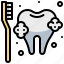 cleaner, dental, dentist, teeth, tooth 