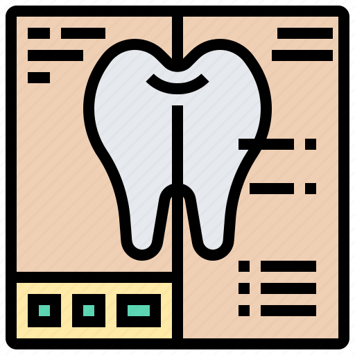 Anatomy, coat, enamel, layers, tooth icon - Download on Iconfinder