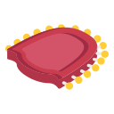 teeth, internal area, anatomy, dental, tooth, denture