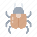 beetle, bloodsucker, bug, flea, insect