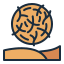 tumbleweed, dry, desert, dune, plant, nature, rolling, wind, flora 