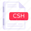 file format, filetype, file extension, document, csh file 