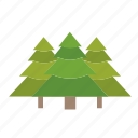 camping, forest, jungle, pines, tree