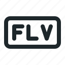 file, flv, video