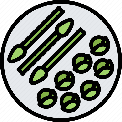 Asparagus, brussels, diet, raw, sprouts, vegan, vegetarian icon - Download on Iconfinder