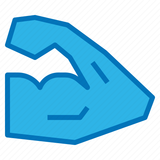 Diet, fitness, healthy, muscle, nutrition icon - Download on Iconfinder