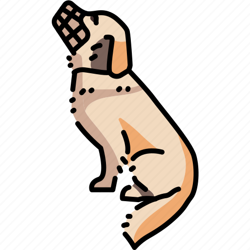 Dog, golden, retriever, muzzle icon - Download on Iconfinder