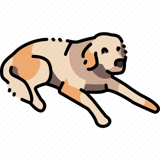 Golden, lying, retriever, old icon - Download on Iconfinder