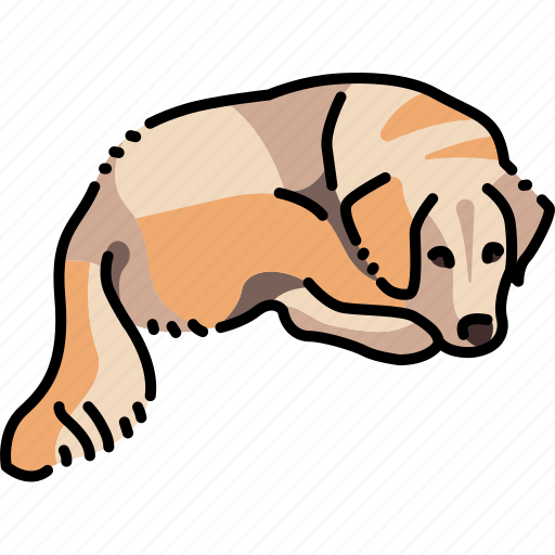 Lying, golden, retriever, adult icon - Download on Iconfinder