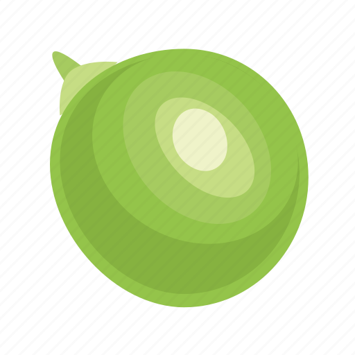 Bean, food, grain, green, leguminous, peas, seed icon - Download on Iconfinder