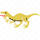 velociraptor, dinosaur, jurassic, carnivores
