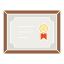 diploma, certificate, graduate, qualification 