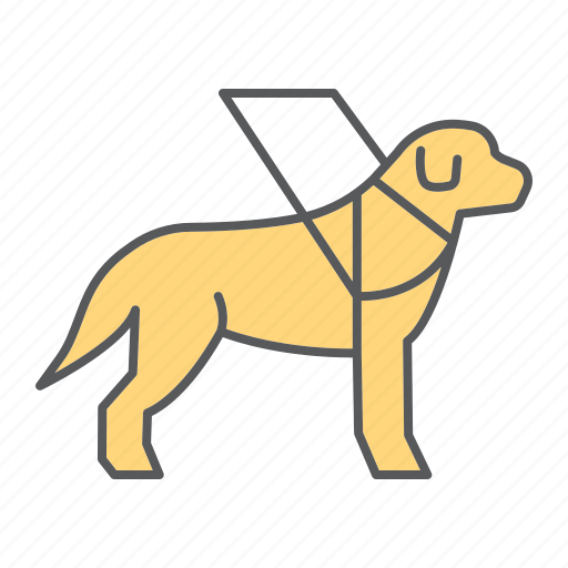 Animal, service, guide, labrador, helper, dog, pet icon - Download on Iconfinder