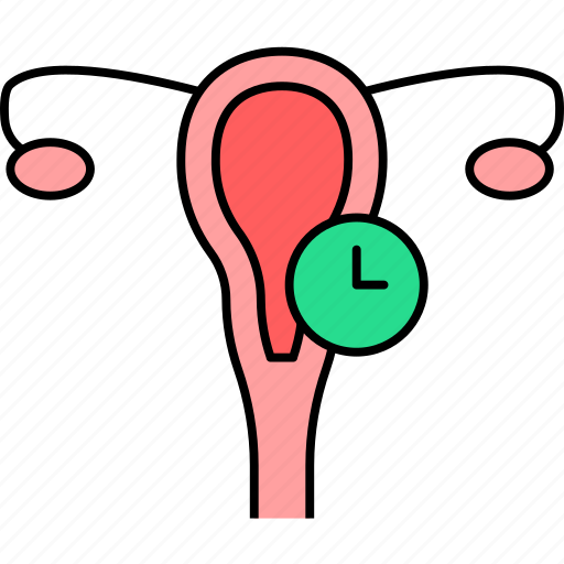 Labia, ovary, urogenital, urogenital system, uterus, vagina icon - Download on Iconfinder
