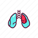 pneumothorax, lungs, pulmonology
