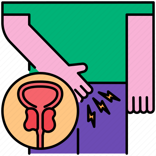 Enlarged, prostate, organ, healthcare, medical, anatomy, masculine icon - Download on Iconfinder