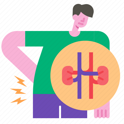 Kidney, disease, medica, pain, urinary, illness icon - Download on Iconfinder