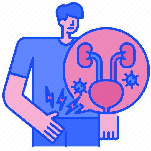 Cystitis, urinary, kidney, health, medical, disease, organ icon - Download on Iconfinder