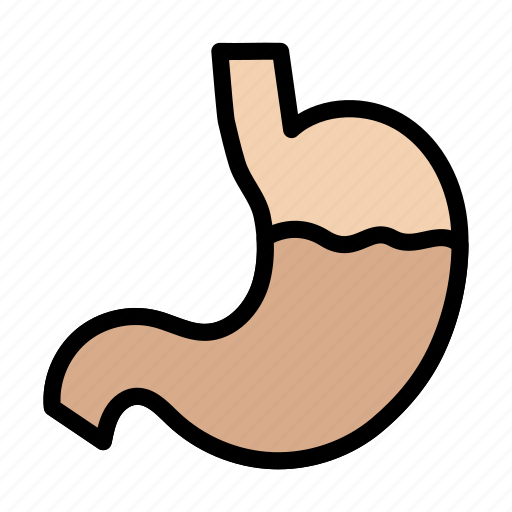 Digestion, disease, healthcare, medical, stomach icon - Download on Iconfinder