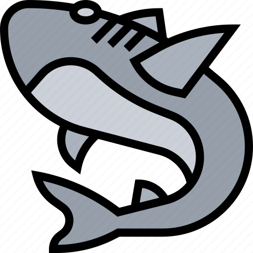 Shark, marine, animal, dangerous, wildlife icon - Download on Iconfinder