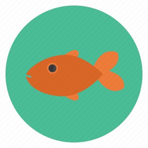 Dive, fish, ocean, sea, seafood, swim icon - Download on Iconfinder