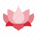 rangoli, lotus, decoration, diwali, floral 