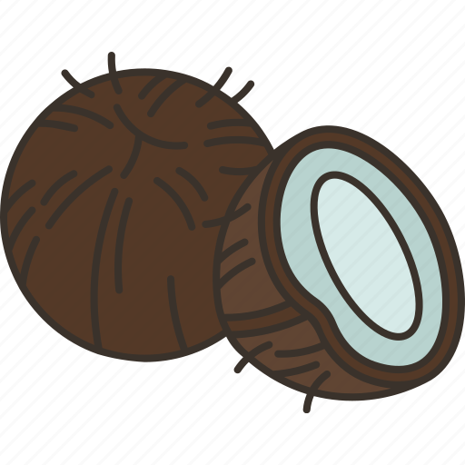 Coconut, ingredient, food, festive, craft icon - Download on Iconfinder