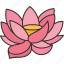 lotus, waterlily, flower, floating, pond 