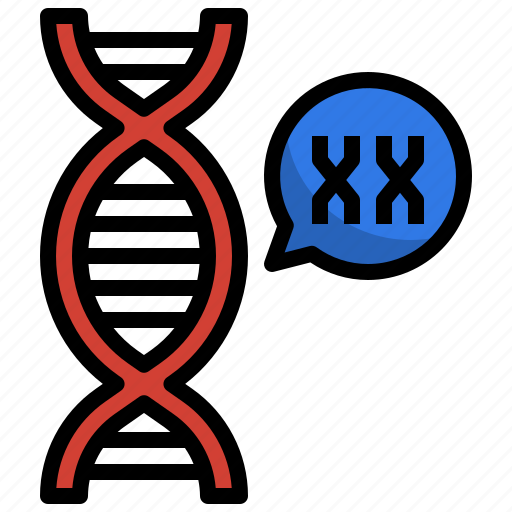 Chromosome, genetical, xx, dna, deoxyribonucleic, acid icon - Download on Iconfinder