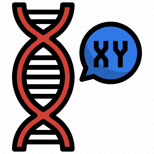 Chromosome, genetical, xy, dna, deoxyribonucleic, acid icon - Download on Iconfinder