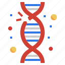 gene, mutation, genetical, structure, dna