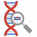search, dna, genetical, deoxyribonucleic, acid, genetics