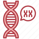 chromosome, genetical, xx, dna, deoxyribonucleic, acid