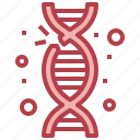 gene, mutation, genetical, structure, dna