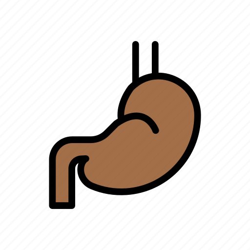 Digestive, gastroenterology, medical, organ, stomach icon - Download on Iconfinder