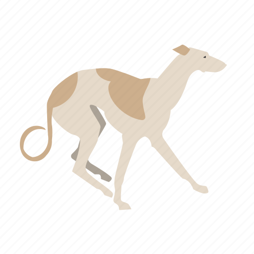 Dog, greyhound, pet icon - Download on Iconfinder